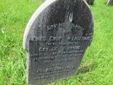 image of grave number 244330